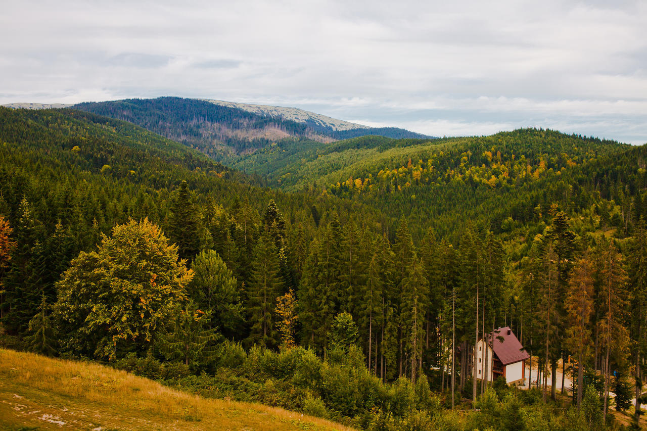 Hotel Karpatski & 2*